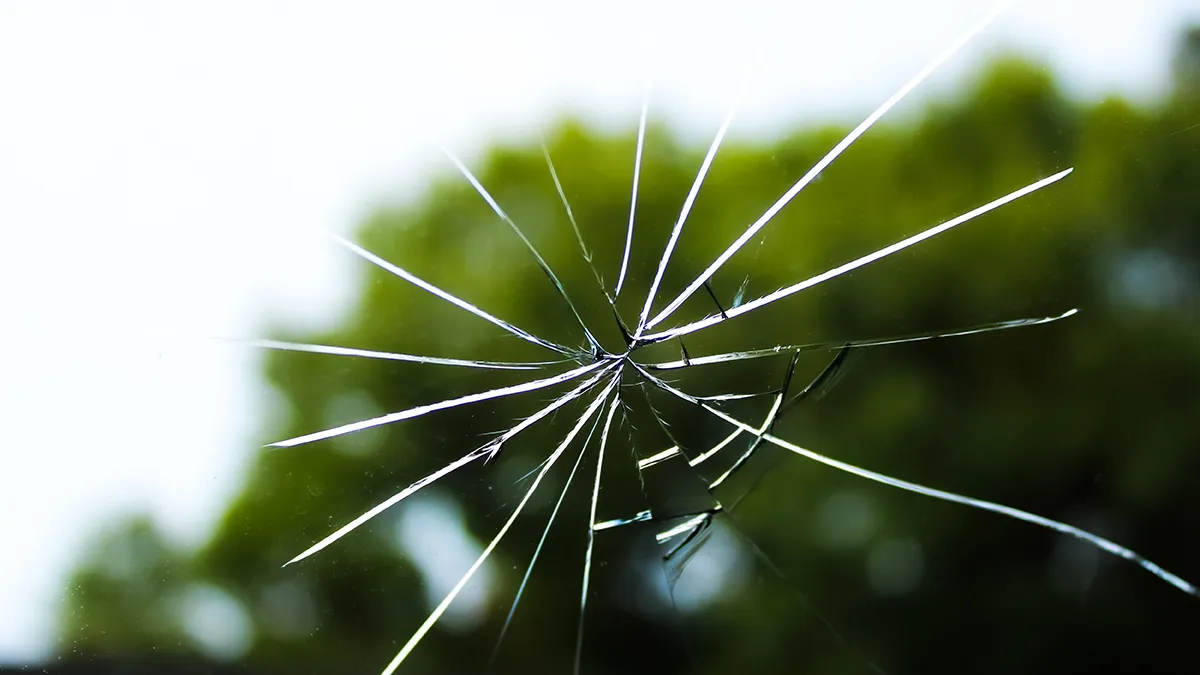 Un pare-brise fissuré avec des éclats de verre visibles, sur fond flou de verdure.