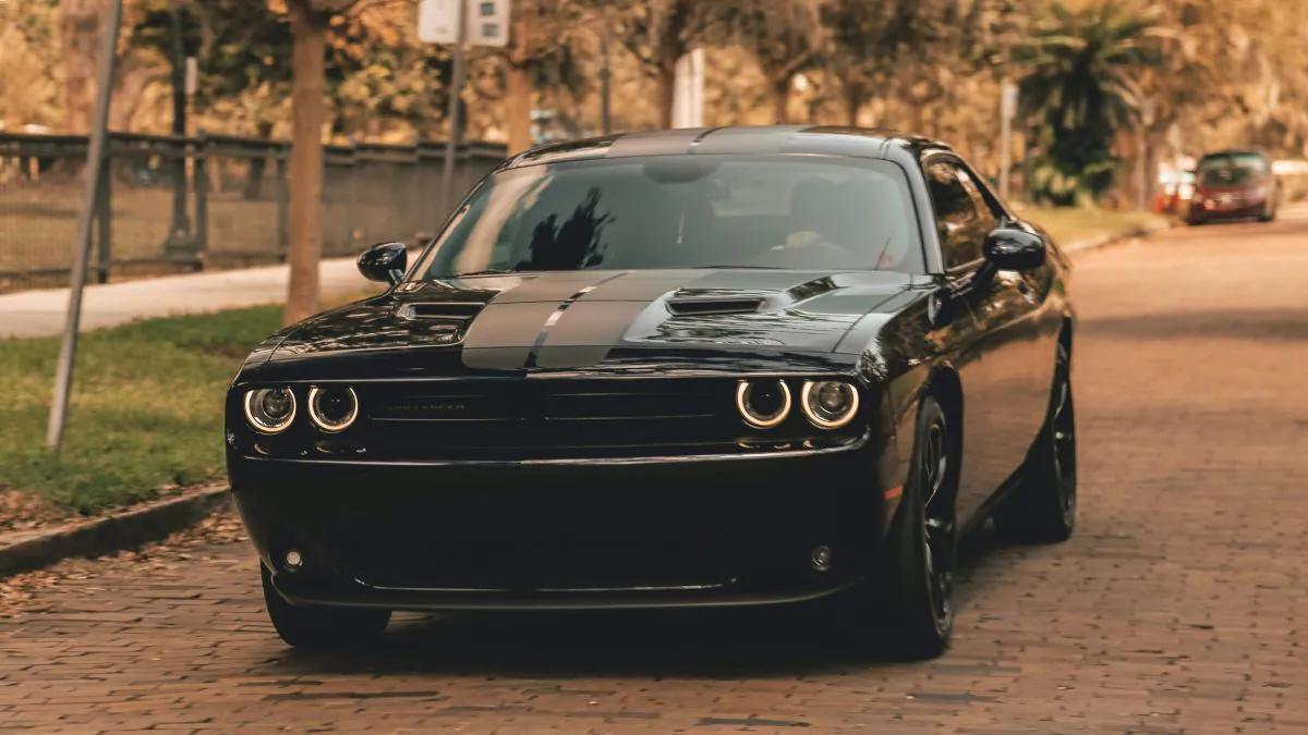 Véhicule Dodge Challenger noir avec des bandes noires sur le capot, circulant sur une rue pavée bordée d'arbres.