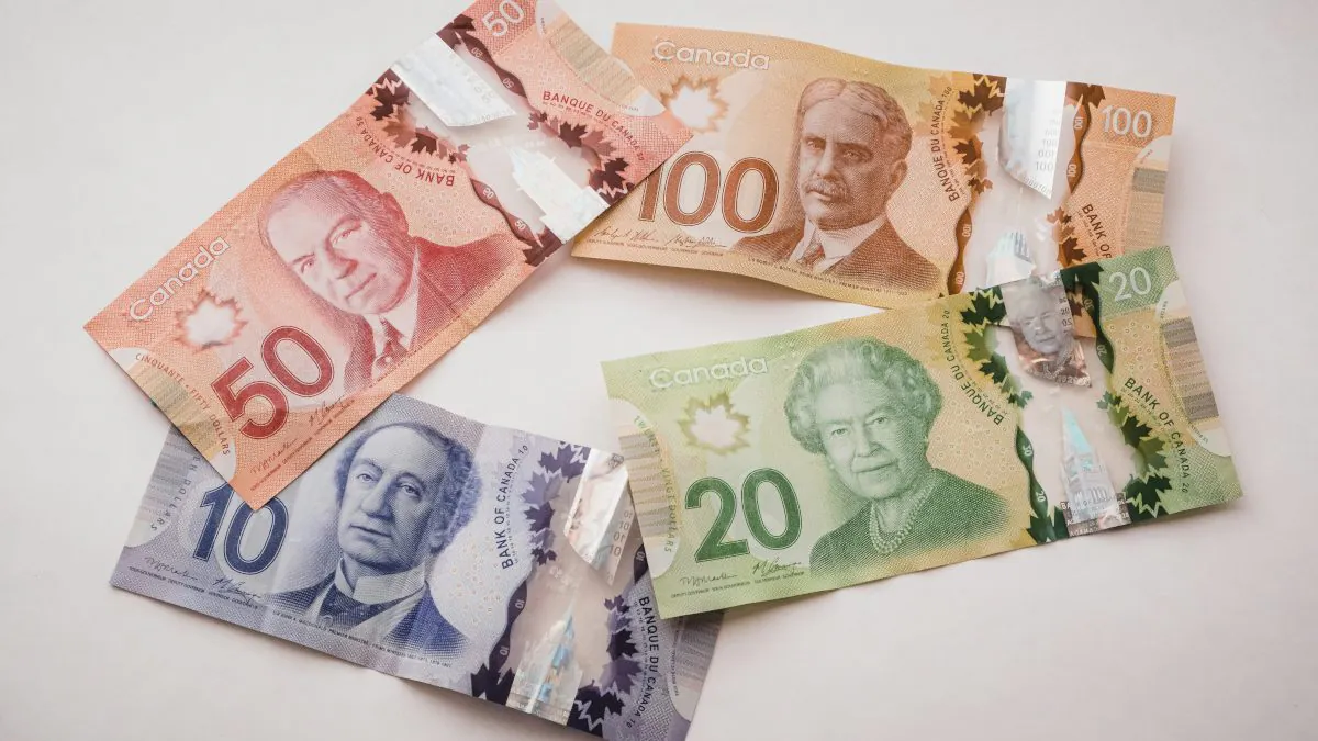Billets de banque canadiens de différentes valeurs (10, 20, 50 et 100 dollars) disposés sur un fond blanc.